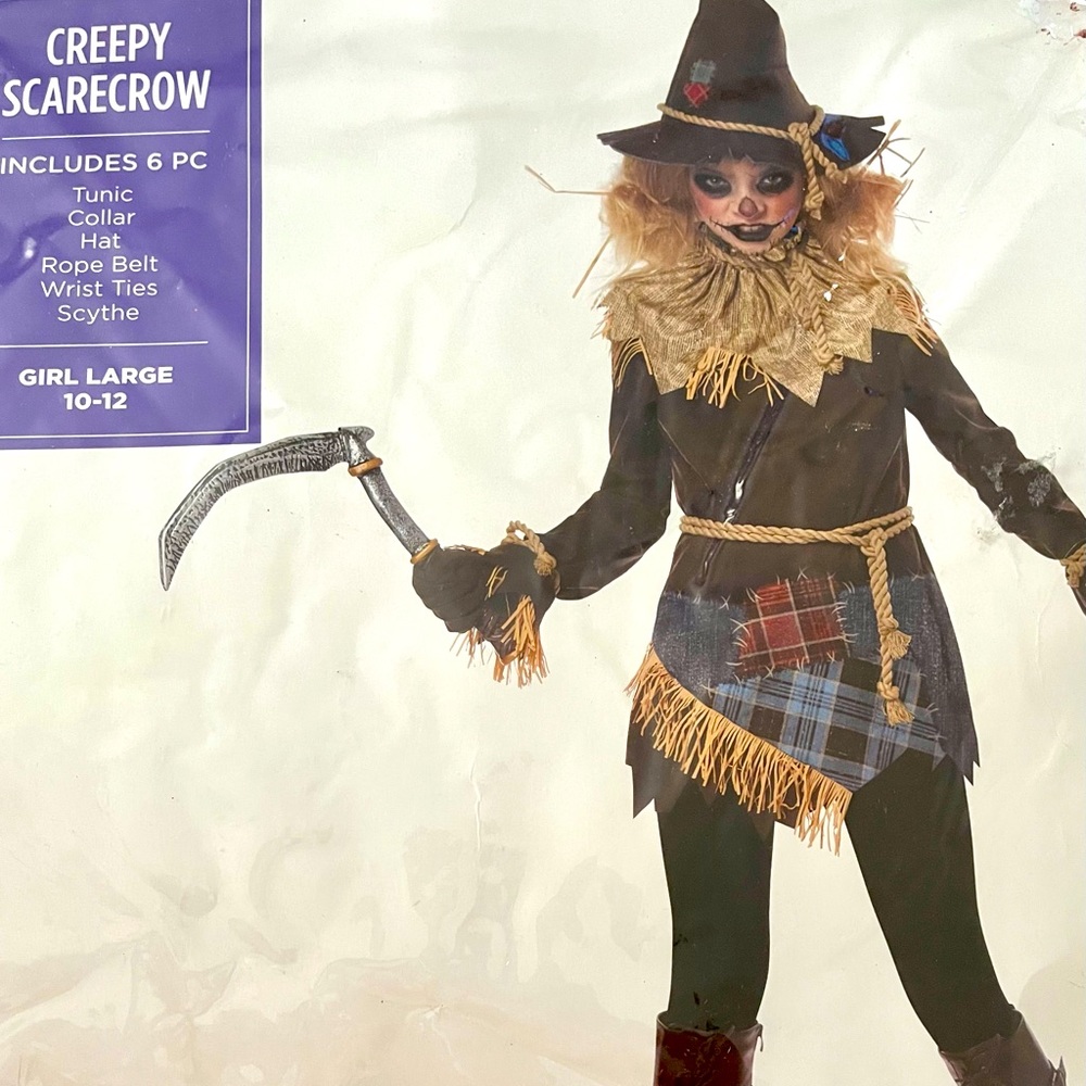 Scarecrow costume